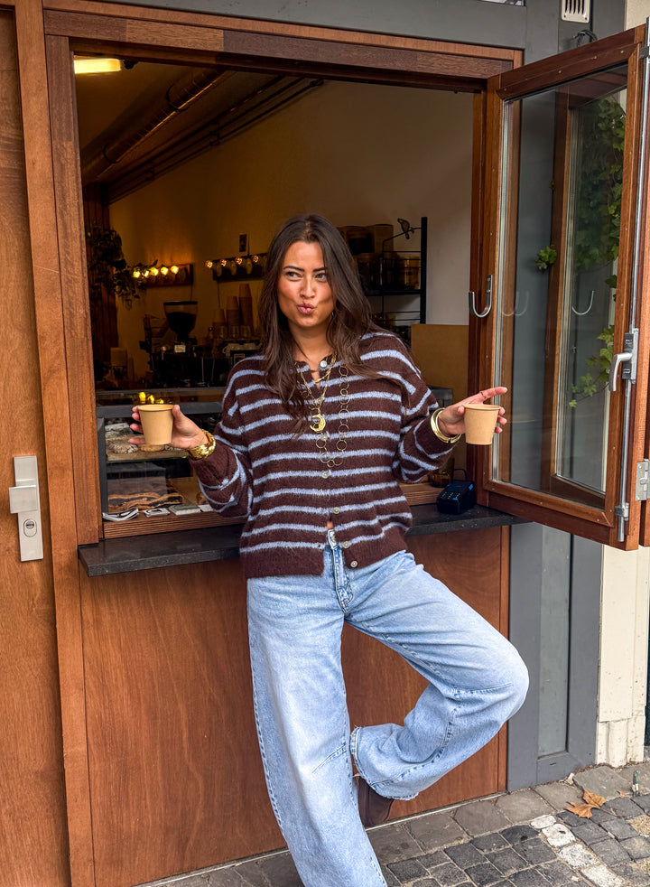 Aurora Vest Stripe Brown/Blue